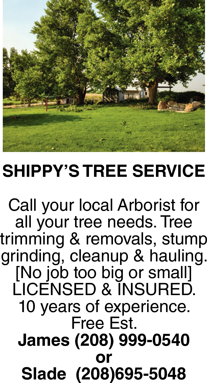 Local Tree Service, Tree Trimmers, Tree Experts, Winter Springs, FL