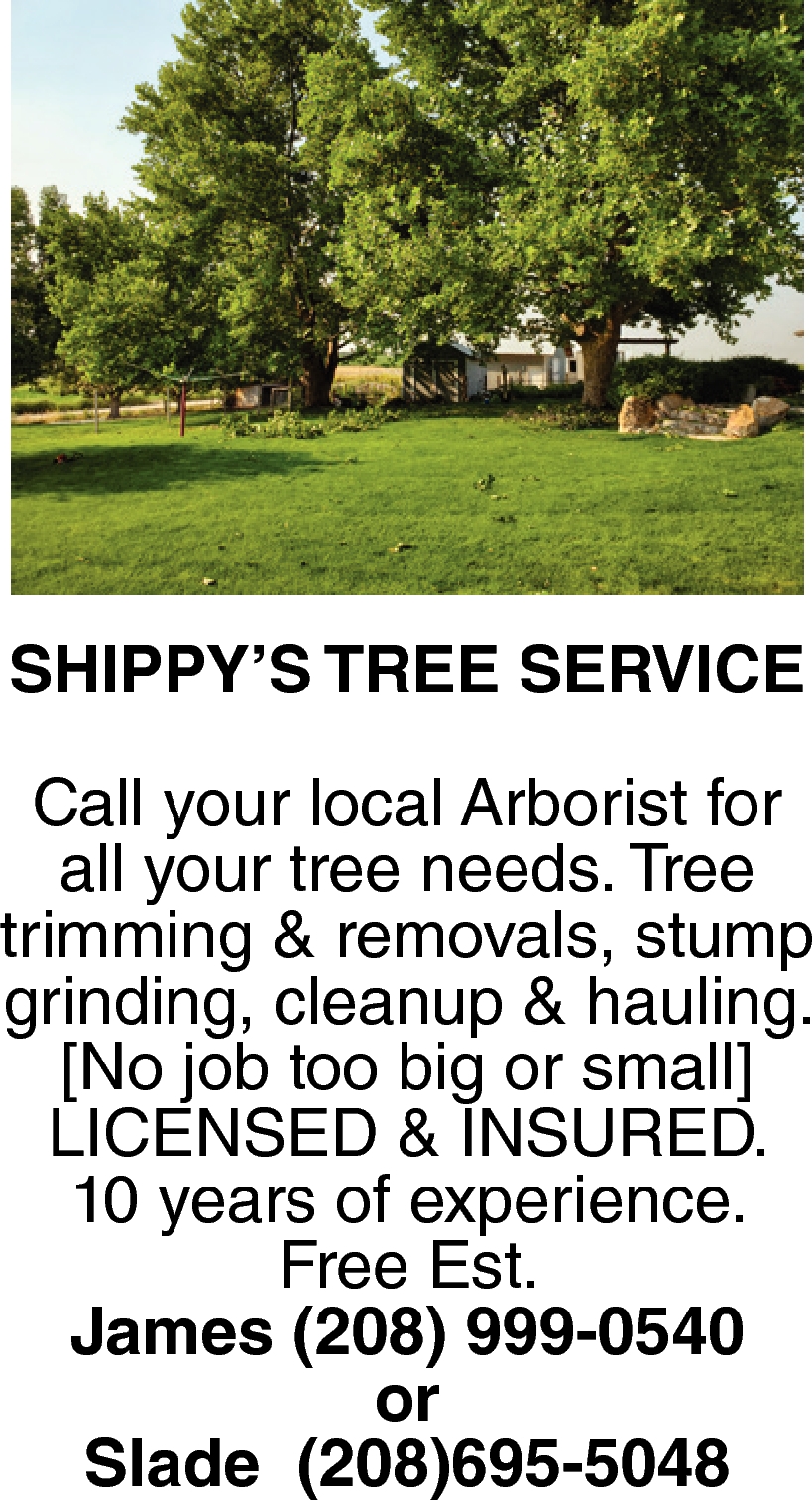 Tree Trimming - Dawsons Tree Service