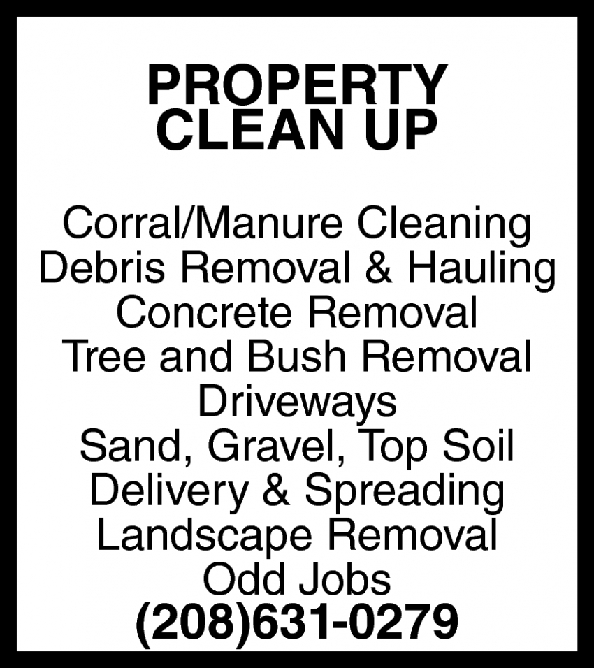 Property Clean Up