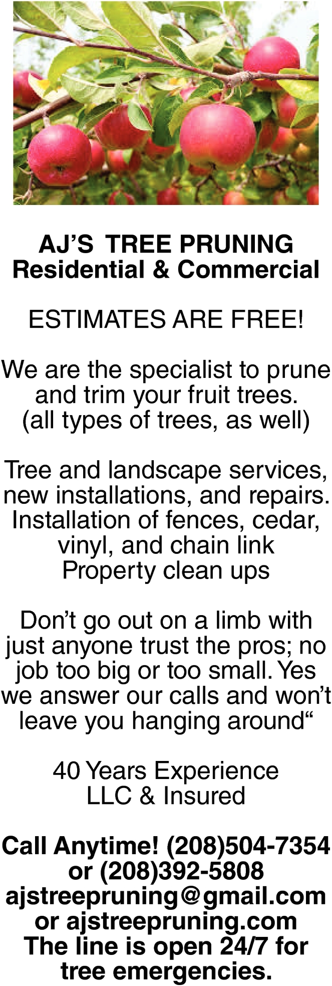 Residential & Commercial Tree Prunning