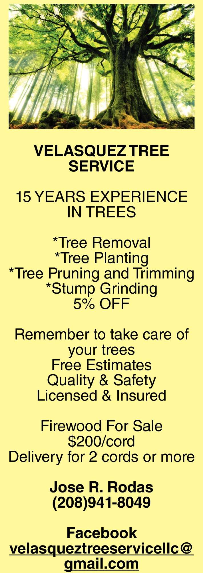 15 Years Experience in Trees