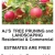Residential & Commercial Tree Pruning