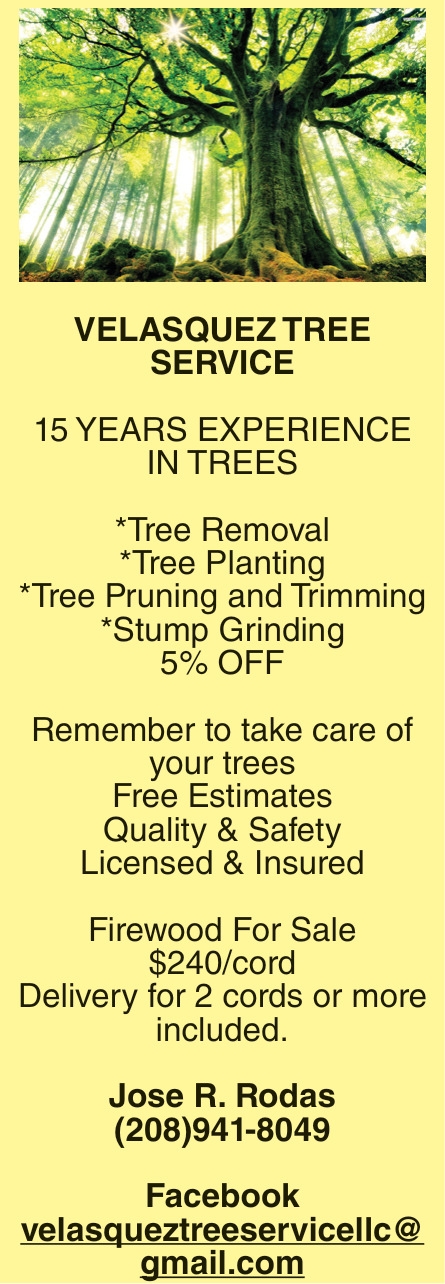 Velasquez Tree Service