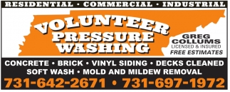 Mold & Mildew Removal!