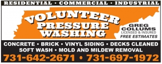 Mold & Mildew Removal!