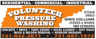Mold & Mildew Removal!