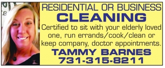 Residential or Business Cleaning