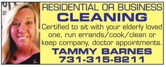 Residential or Business Cleaning