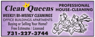 Professional House-Cleaning