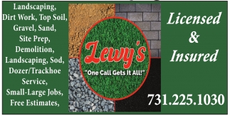 Lewy's Sod