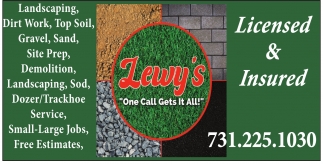 Lewy's Sod