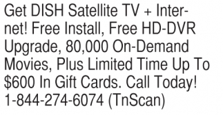 Dish