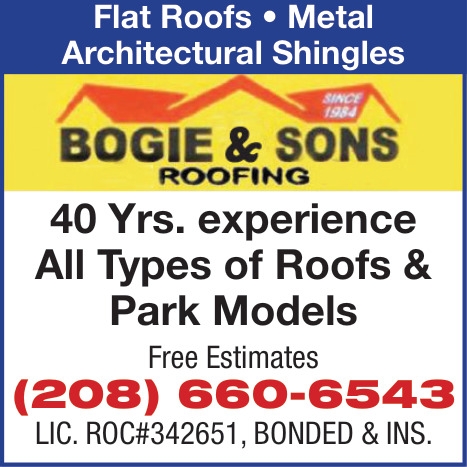 Bogie & Sons Roofing