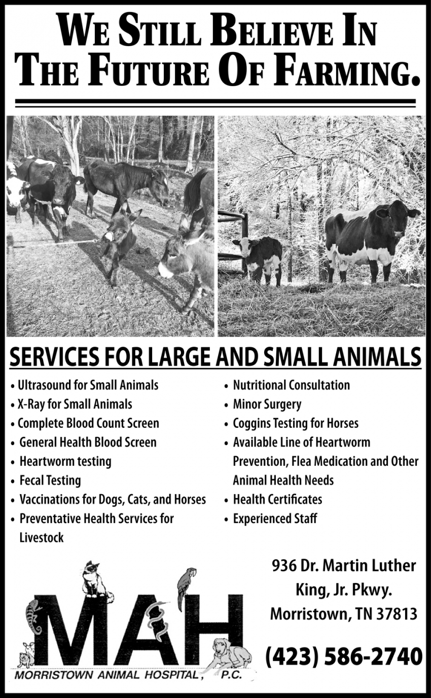 We Still Believe In The Future Of Farming, MAH - Morristown Animal Hospital,  , Morristown, TN