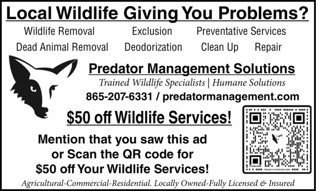 Local Wildlife Giving You Problems?, Predator Management Solutions & Wildlife Control, Maryville, TN