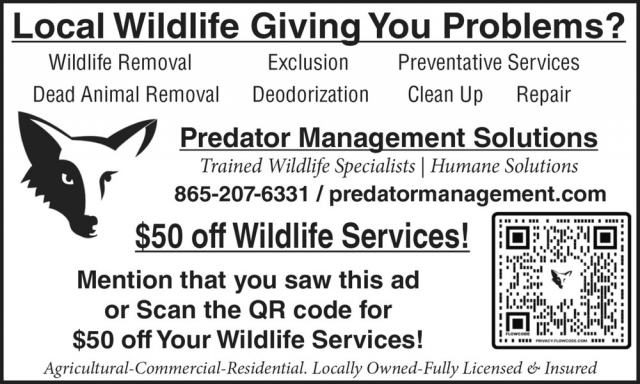 Local Wildlife Giving You Problems?, Predator Management Solutions & Wildlife Control, Maryville, TN