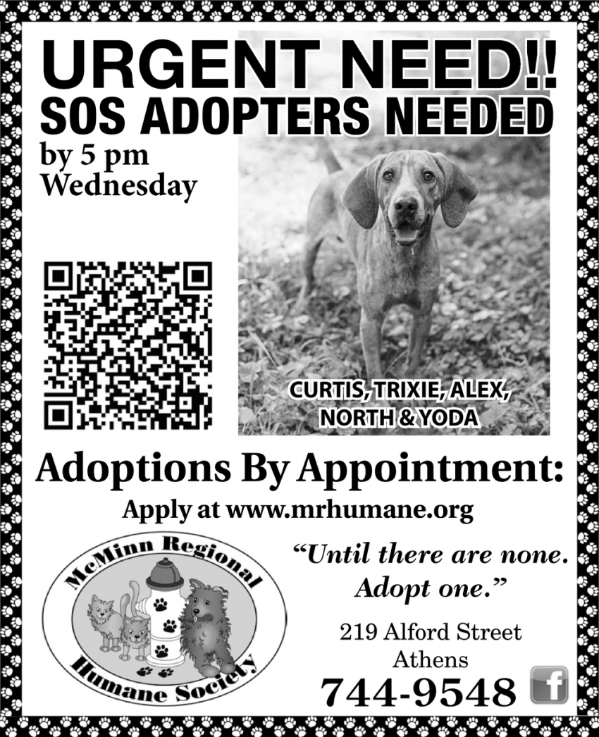 Urgent Need! SOS Adopters Needed