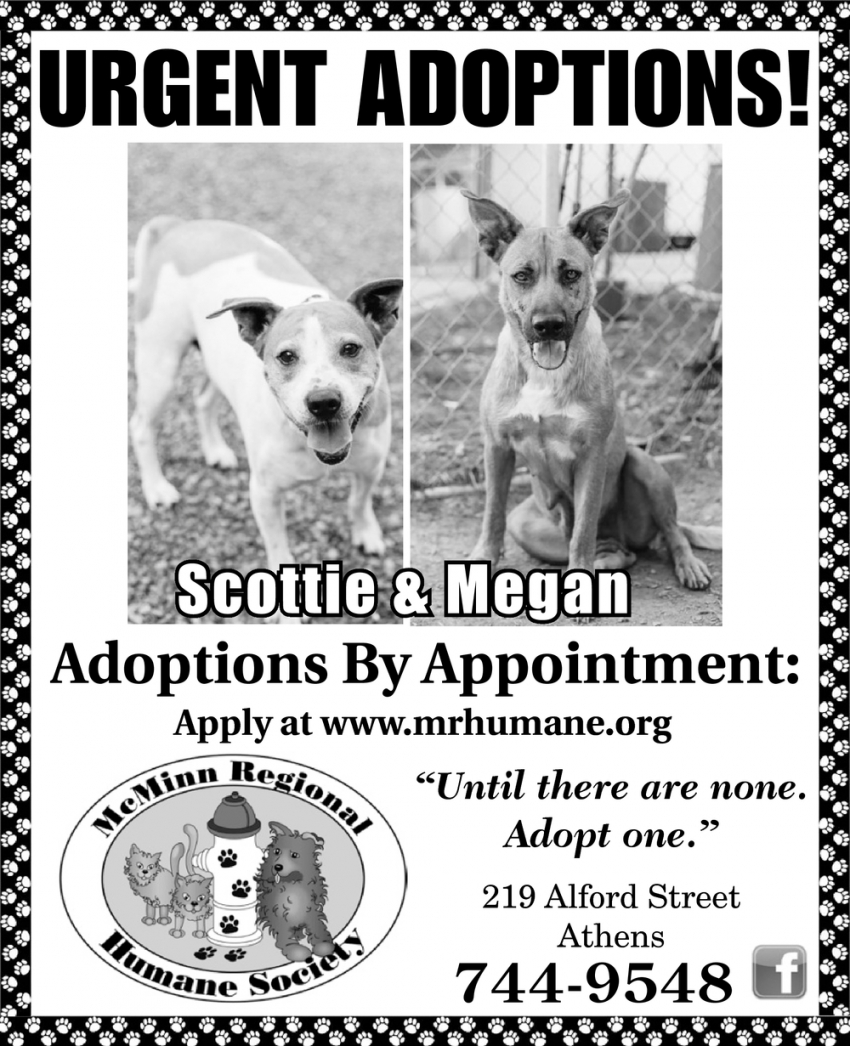 Urgent Adoptions!