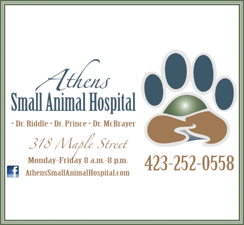 Small Animal Hospital