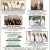 Primary Care