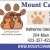 Small Animal Medicine & Surgery