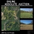Online Absolute Auction