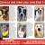 Come in And Meet Your New Best Friend!