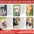 Come in And Meet Your New Best Friend!