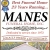 Best Funeral Home