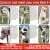 Come in And Meet Your New Best Friend!