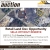 Real Estate Auction