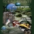 Adventure Side of The Smokies