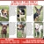 Pet Food Pantry