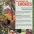 Find Wonder in The Smokies