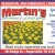 Specializing in Outdoor Living