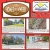 Homes of The Week
