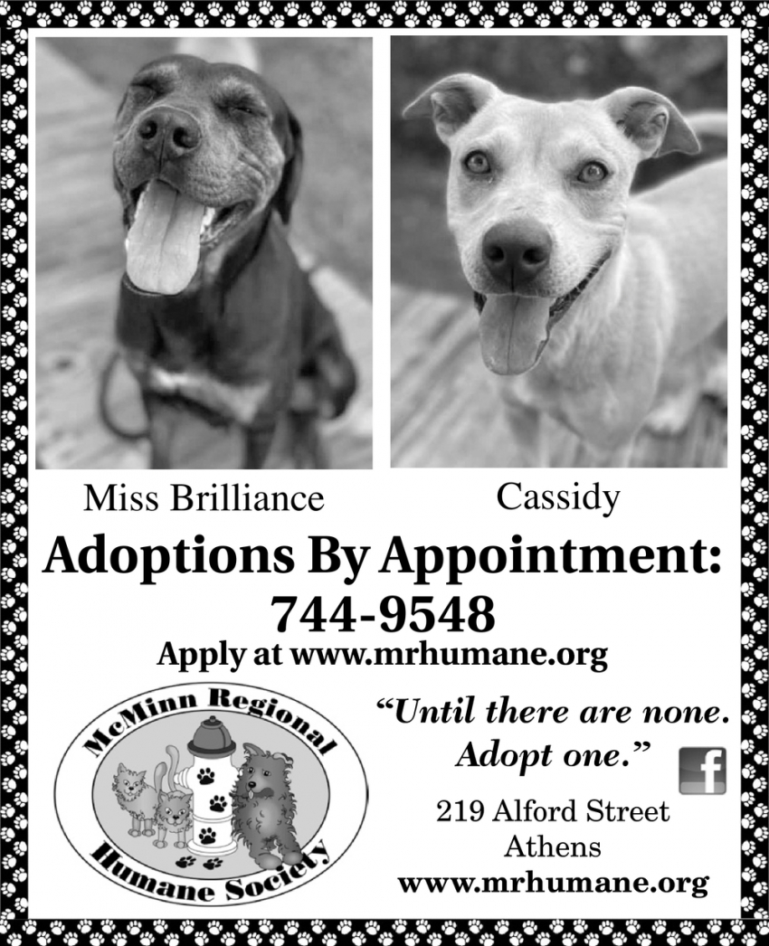 Adoptions By Appointment