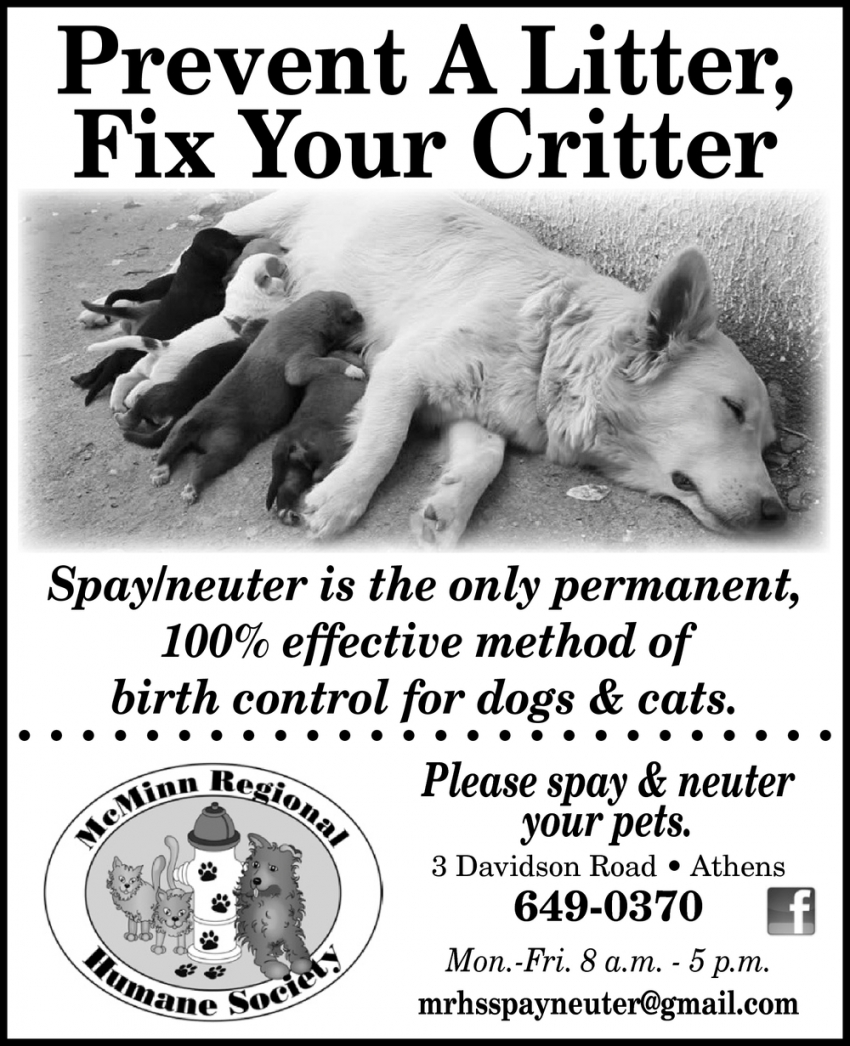 Prevent a Litter, Fix Your Critter