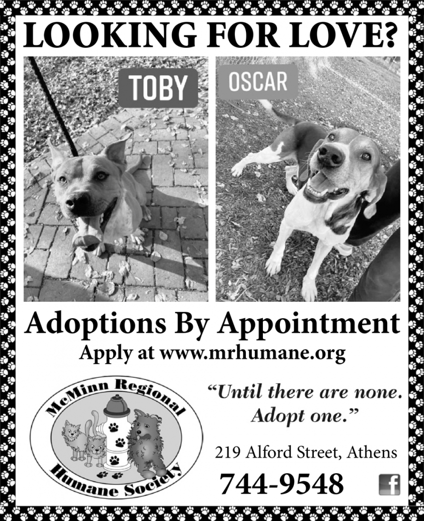 Adoptions By Appointment