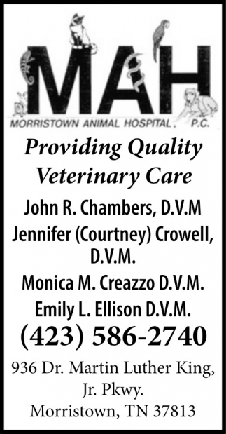 MAH - Morristown Animal Hospital, P.C