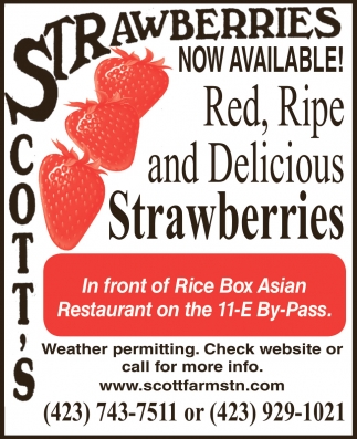 Scott's Strawberries