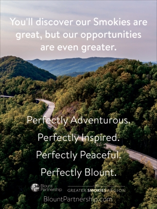 Blount Partnership