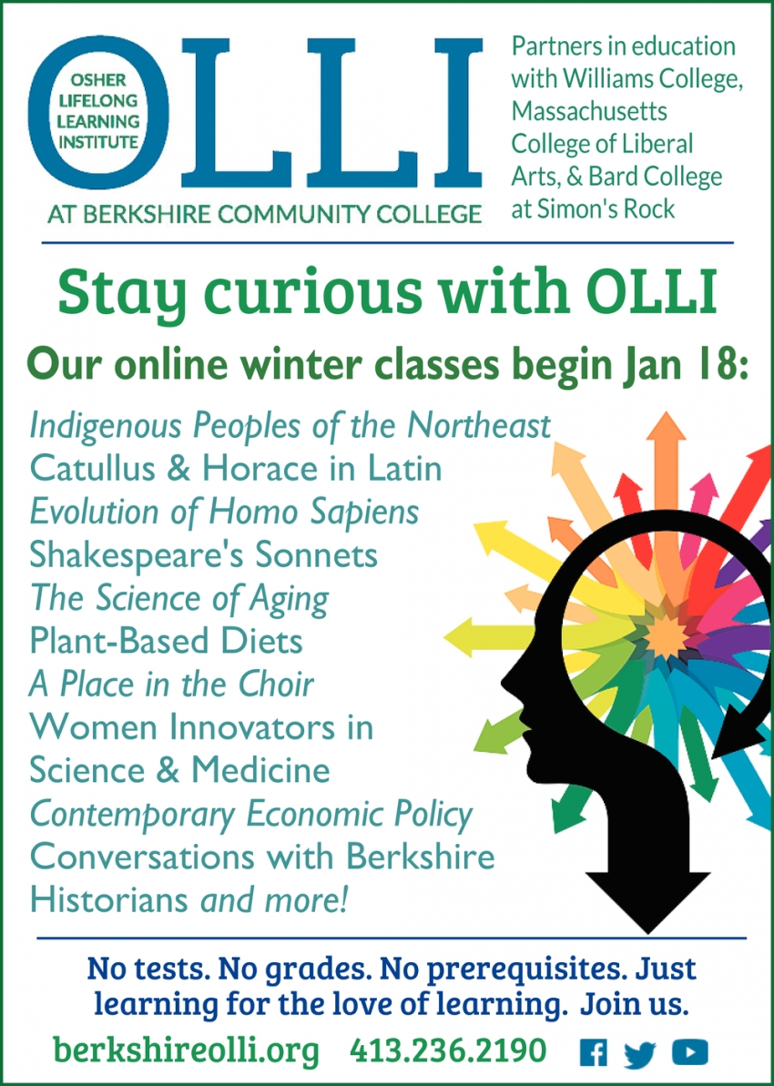 Stay Curious With OLLI