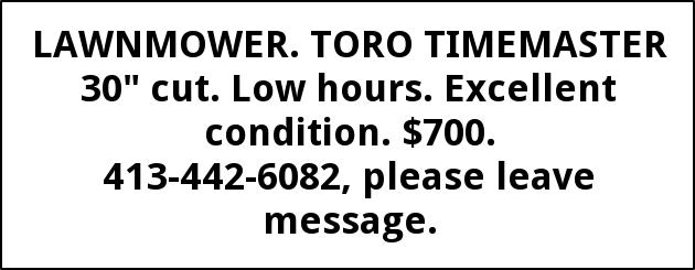 Toro Timemaster 30