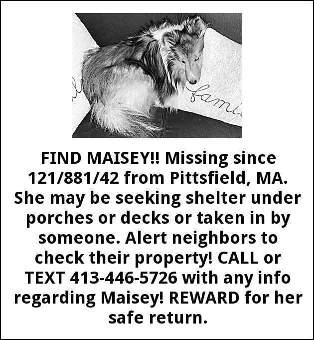 Find Maisey!!