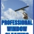 Professional Window Cleaning