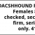 Dacshgound Purebred Puppies