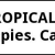 Tropical Fish