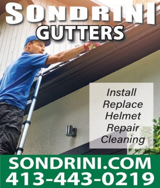 Sondrini Gutters