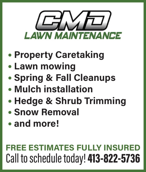 CMD Lawn Maintenance